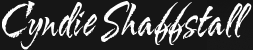 Cyndie Shaffstall, entrepreneur